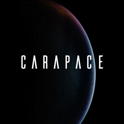 carapace