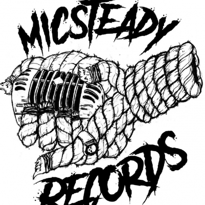 MicSteady Records